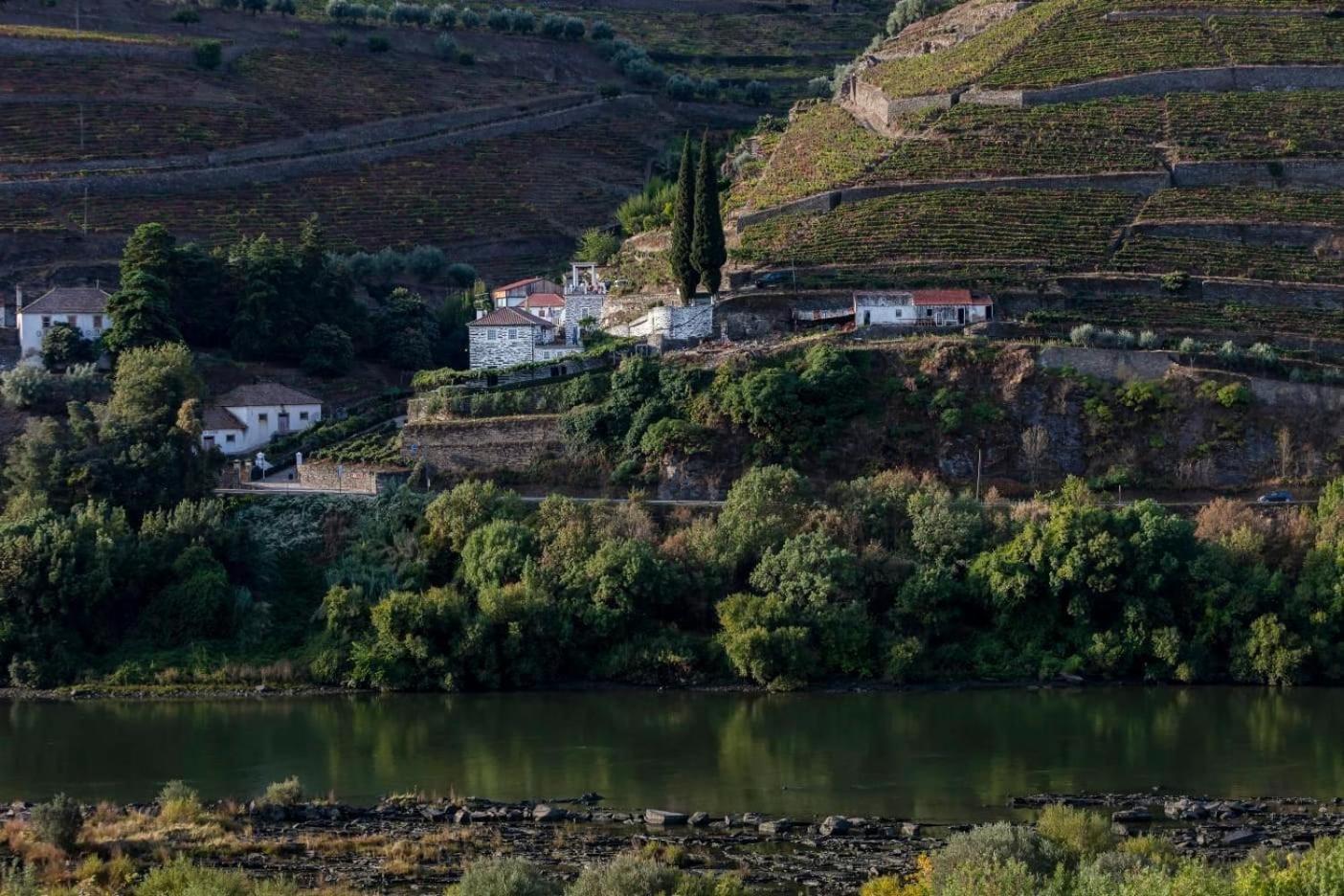 Quinta De Marrocos Villa Peso da Régua Esterno foto