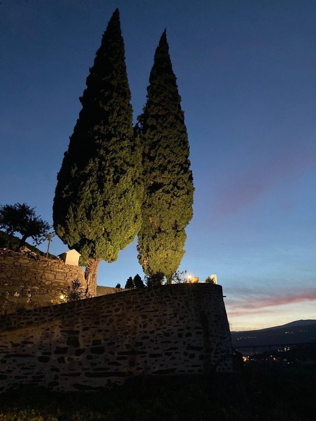 Quinta De Marrocos Villa Peso da Régua Esterno foto